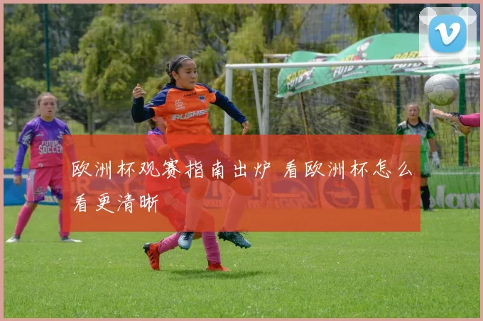 欧洲杯观赛指南出炉 看欧洲杯怎么看更清晰