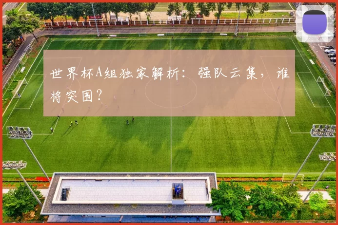 世界杯A组独家解析：强队云集，谁将突围？