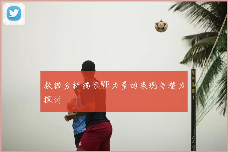 数据分析揭示WE力量的表现与潜力探讨