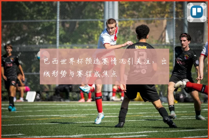 巴西世界杯预选赛情况引关注,出线形势与赛程成焦点