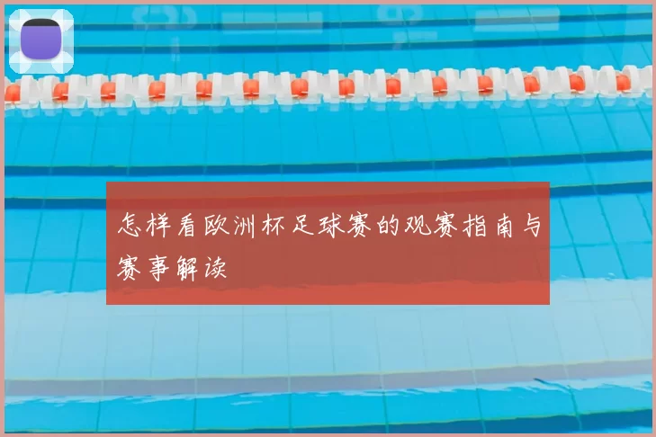 怎样看欧洲杯足球赛的观赛指南与赛事解读