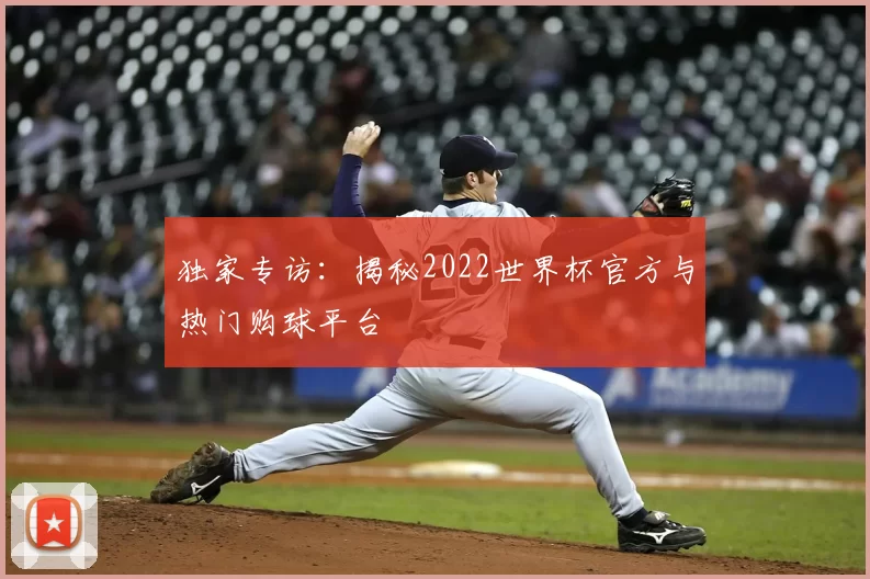 独家专访:揭秘2022世界杯官方与热门购球平台