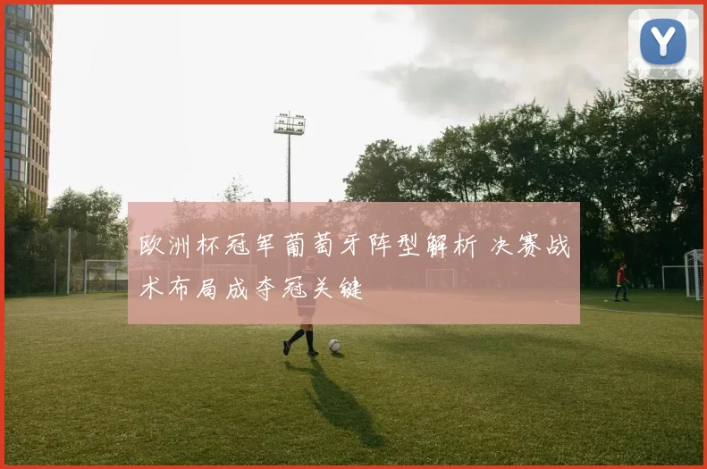 欧洲杯冠军葡萄牙阵型解析 决赛战术布局成夺冠关键