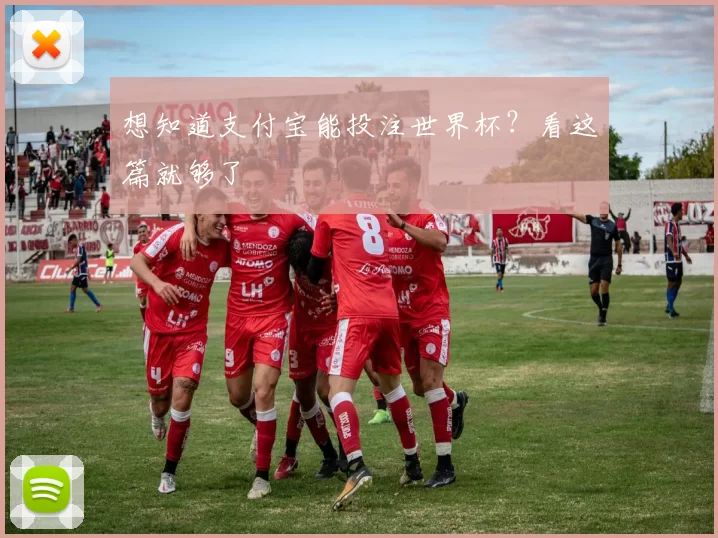 想知道支付宝能投注世界杯?看这篇就够了