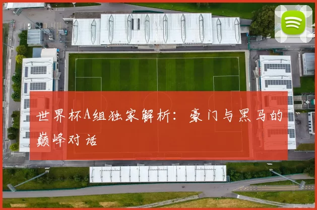 世界杯A组独家解析:豪门与黑马的巅峰对话