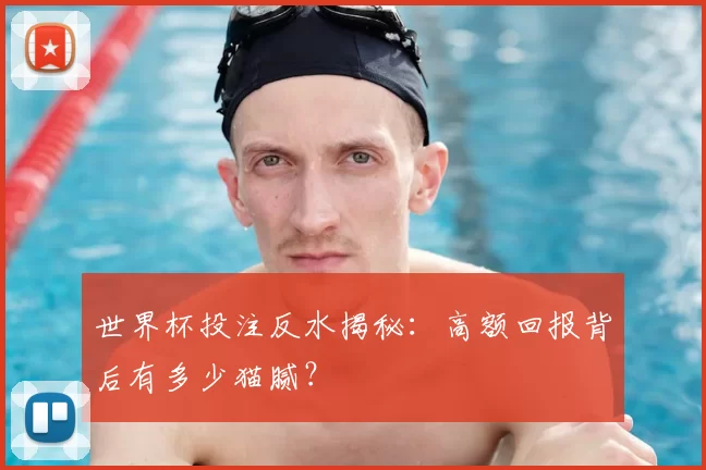 世界杯投注反水揭秘：高额回报背后有多少猫腻？