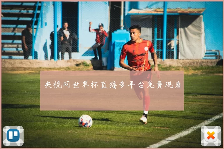 央视网世界杯直播多平台免费观看