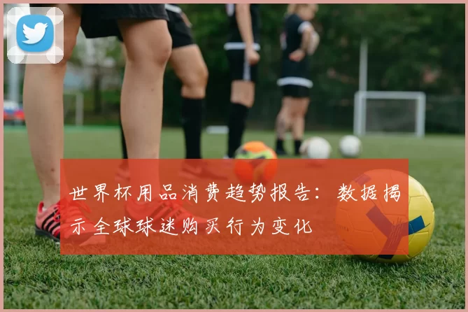世界杯用品消费趋势报告：数据揭示全球球迷购买行为变化
