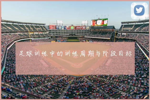 足球训练中的训练周期与阶段目标