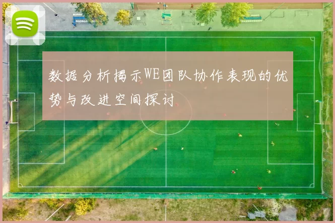 数据分析揭示WE团队协作表现的优势与改进空间探讨
