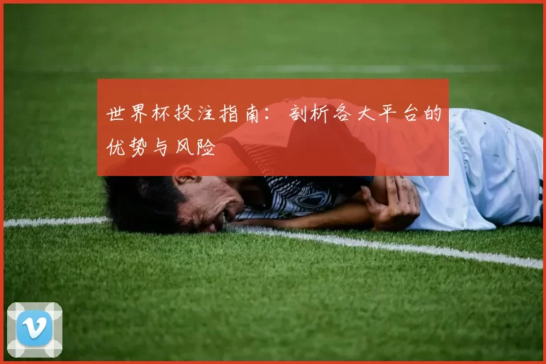 世界杯投注指南:剖析各大平台的优势与风险