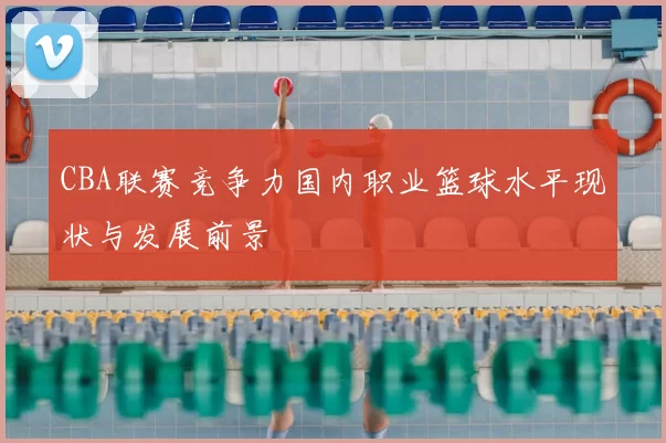 CBA联赛竞争力国内职业篮球水平现状与发展前景