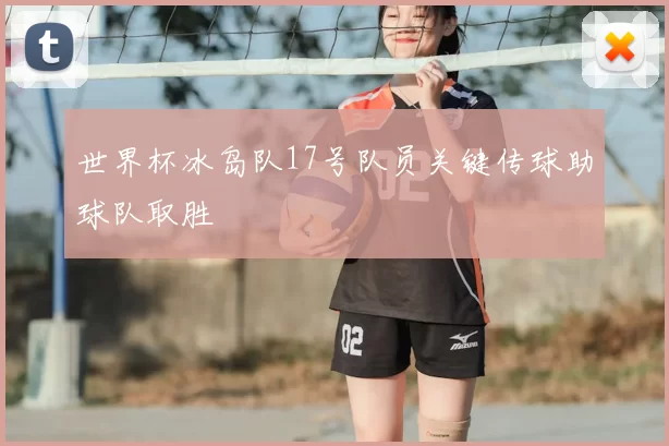 世界杯冰岛队17号队员关键传球助球队取胜