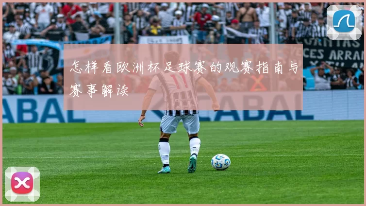 怎样看欧洲杯足球赛的观赛指南与赛事解读