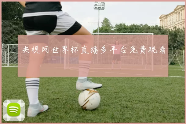 央视网世界杯直播多平台免费观看