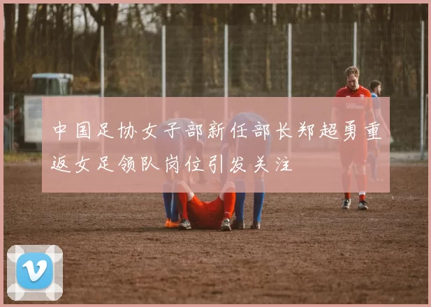 中国足协女子部新任部长郑超勇重返女足领队岗位引发关注