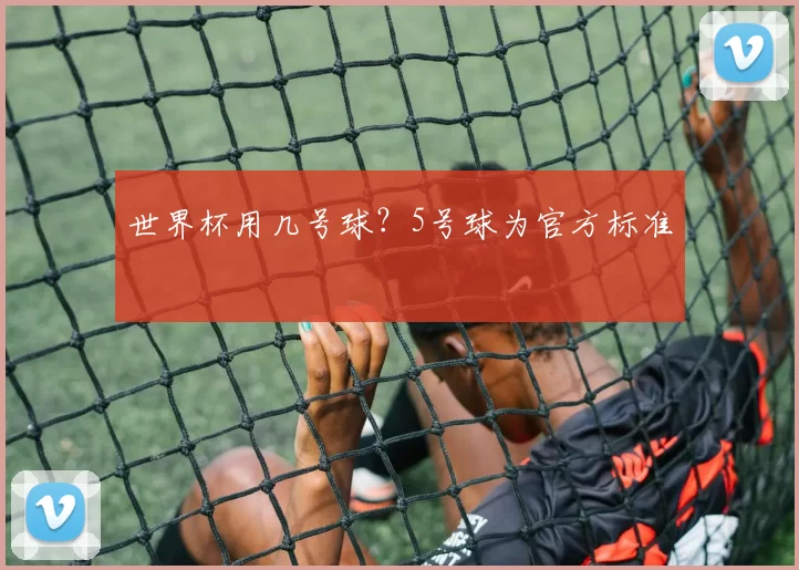 世界杯用几号球?5号球为官方标准