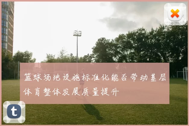 篮球场地设施标准化能否带动基层体育整体发展质量提升