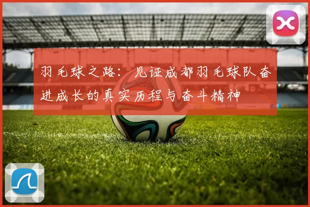 羽毛球之路:见证成都羽毛球队奋进成长的真实历程与奋斗精神