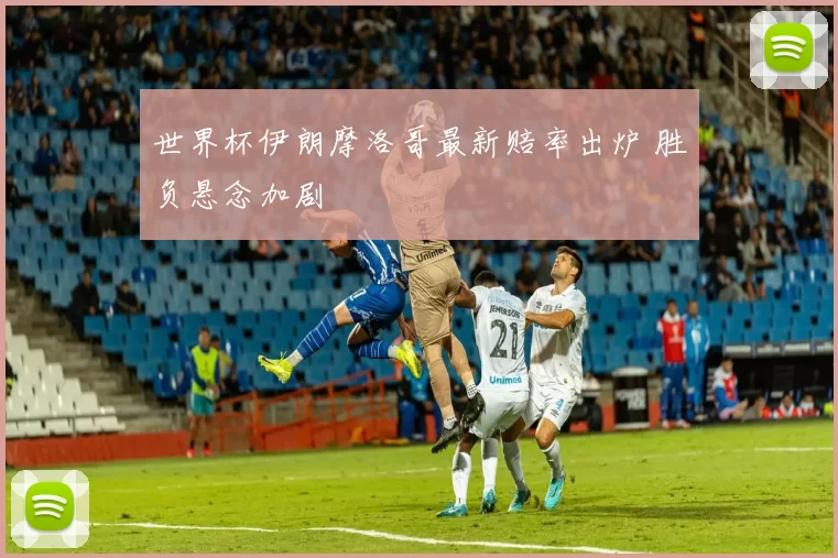 世界杯伊朗摩洛哥最新赔率出炉 胜负悬念加剧