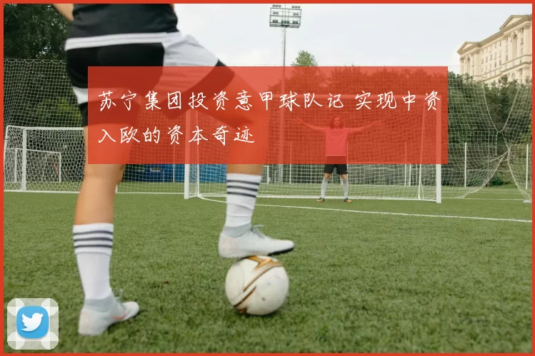 苏宁集团投资意甲球队记 实现中资入欧的资本奇迹