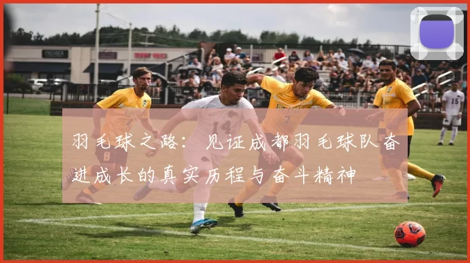 羽毛球之路:见证成都羽毛球队奋进成长的真实历程与奋斗精神