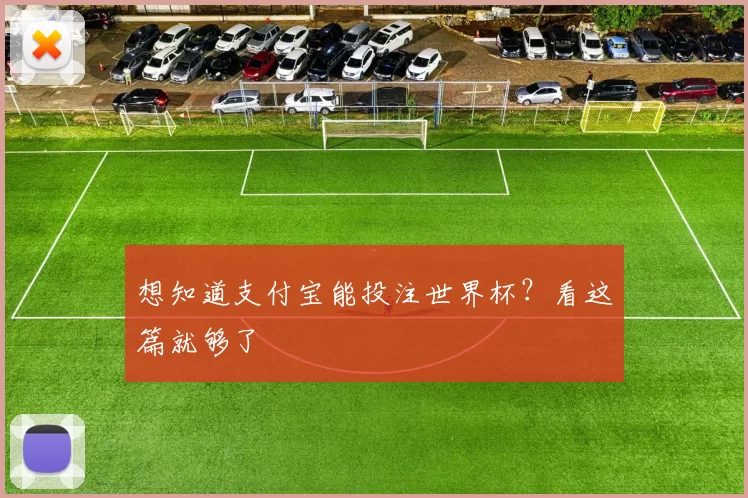 想知道支付宝能投注世界杯?看这篇就够了