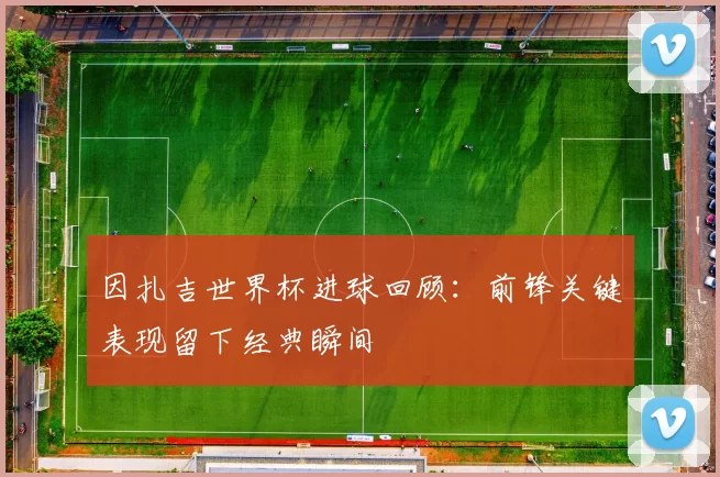 因扎吉世界杯进球回顾：前锋关键表现留下经典瞬间