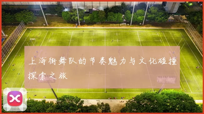 上海街舞队的节奏魅力与文化碰撞探索之旅
