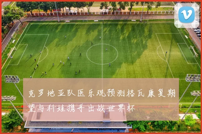 克罗地亚队医乐观预测格瓦康复期望与科娃携手出战世界杯