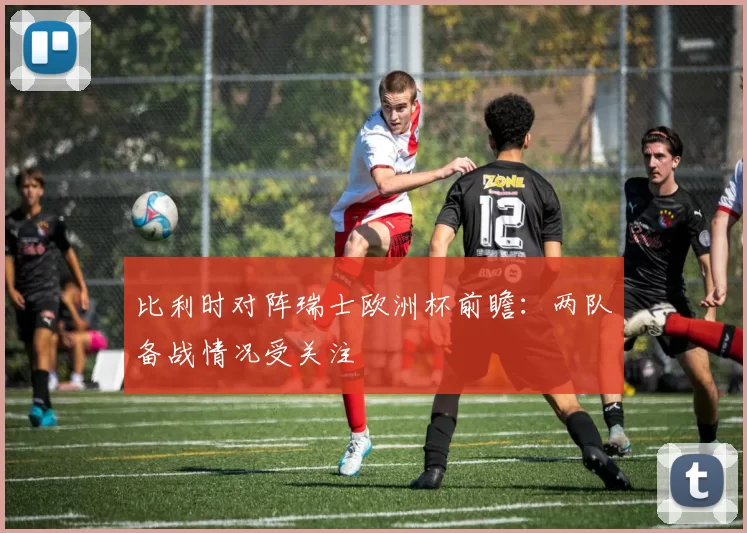 比利时对阵瑞士欧洲杯前瞻：两队备战情况受关注