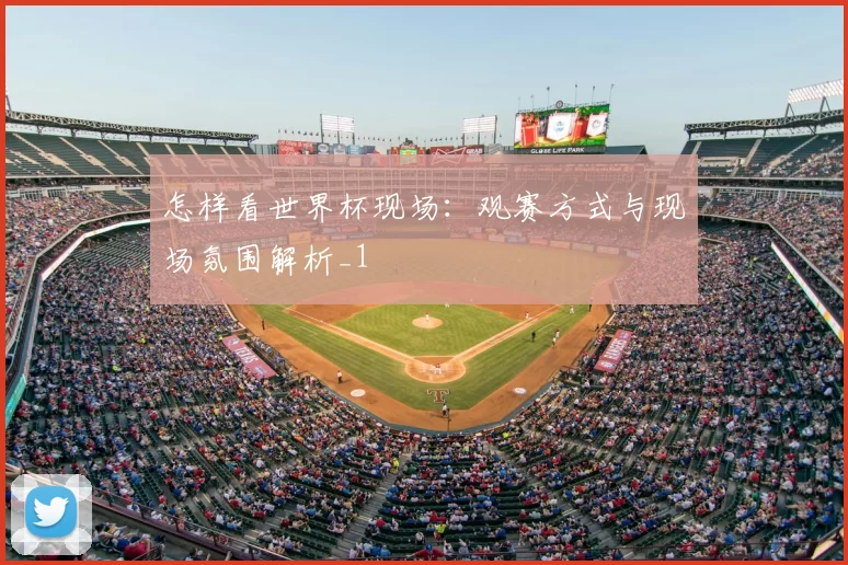 怎样看世界杯现场：观赛方式与现场氛围解析_1