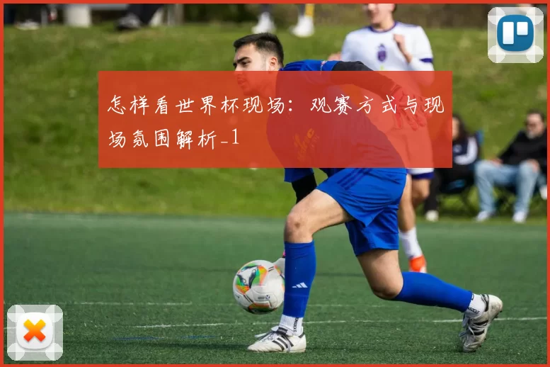 怎样看世界杯现场:观赛方式与现场氛围解析_1