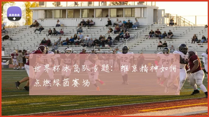 世界杯冰岛队专题：维京精神如何点燃绿茵赛场