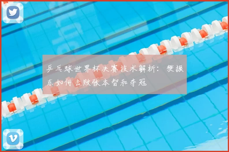 乒乓球世界杯决赛技术解析:樊振东如何击败张本智和夺冠