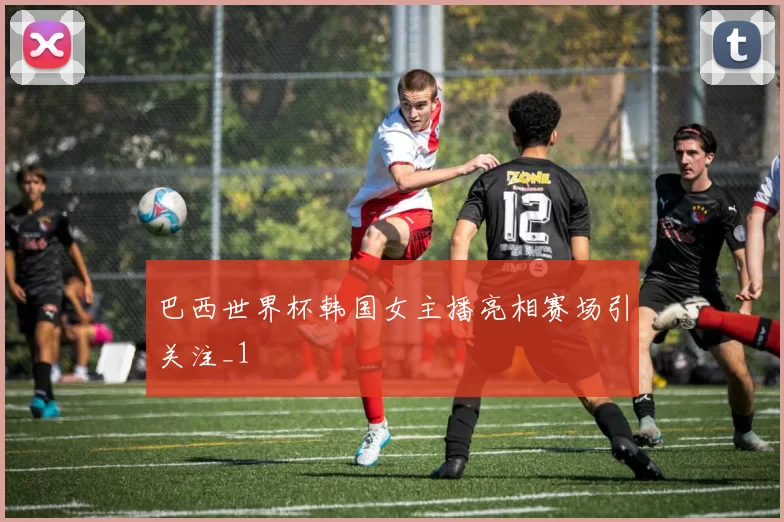 巴西世界杯韩国女主播亮相赛场引关注_1