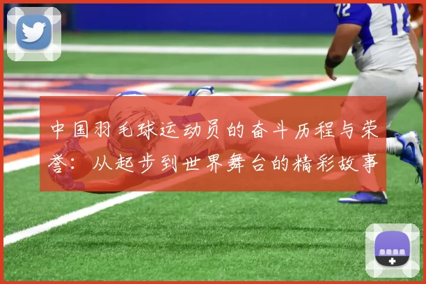中国羽毛球运动员的奋斗历程与荣誉:从起步到世界舞台的精彩故事
