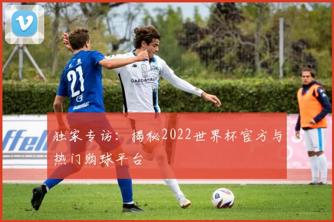 独家专访:揭秘2022世界杯官方与热门购球平台