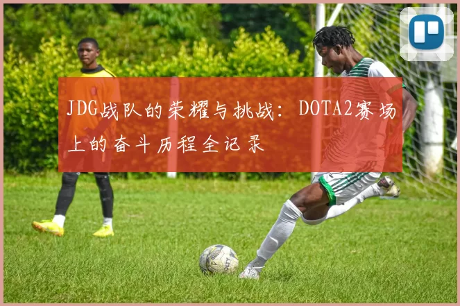 JDG战队的荣耀与挑战:DOTA2赛场上的奋斗历程全记录