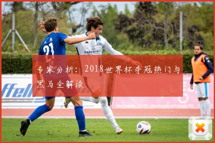 专家分析:2018世界杯夺冠热门与黑马全解读