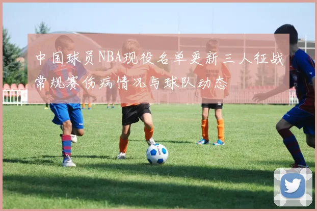 中国球员NBA现役名单更新三人征战常规赛伤病情况与球队动态